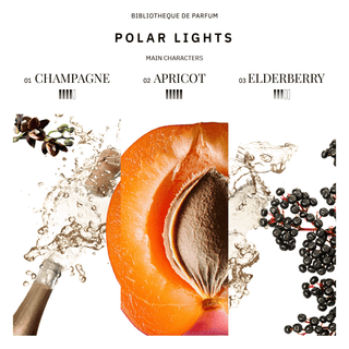 Polar Lights 100 ml