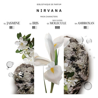 Nirvana 100 ml